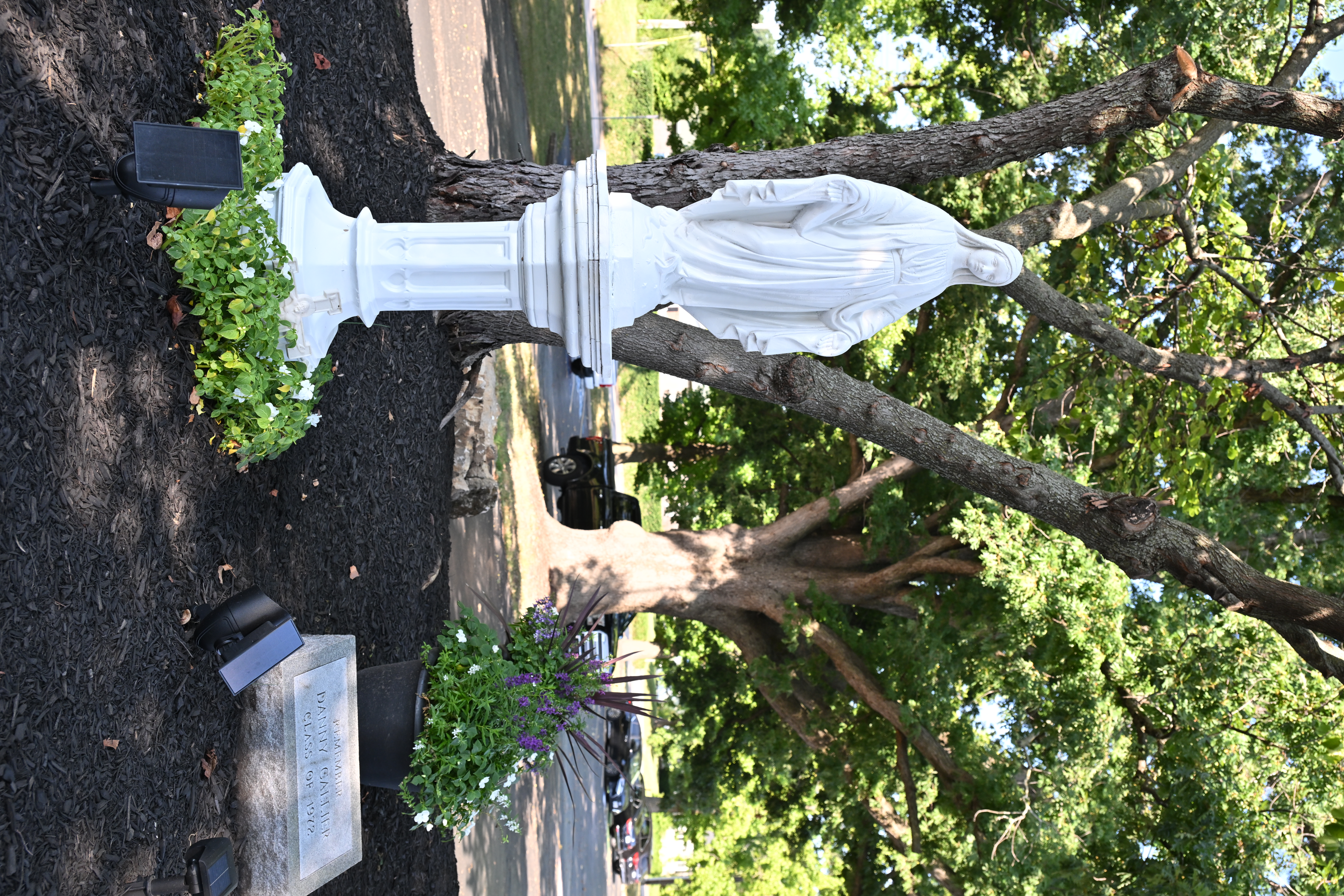 Mary vertical