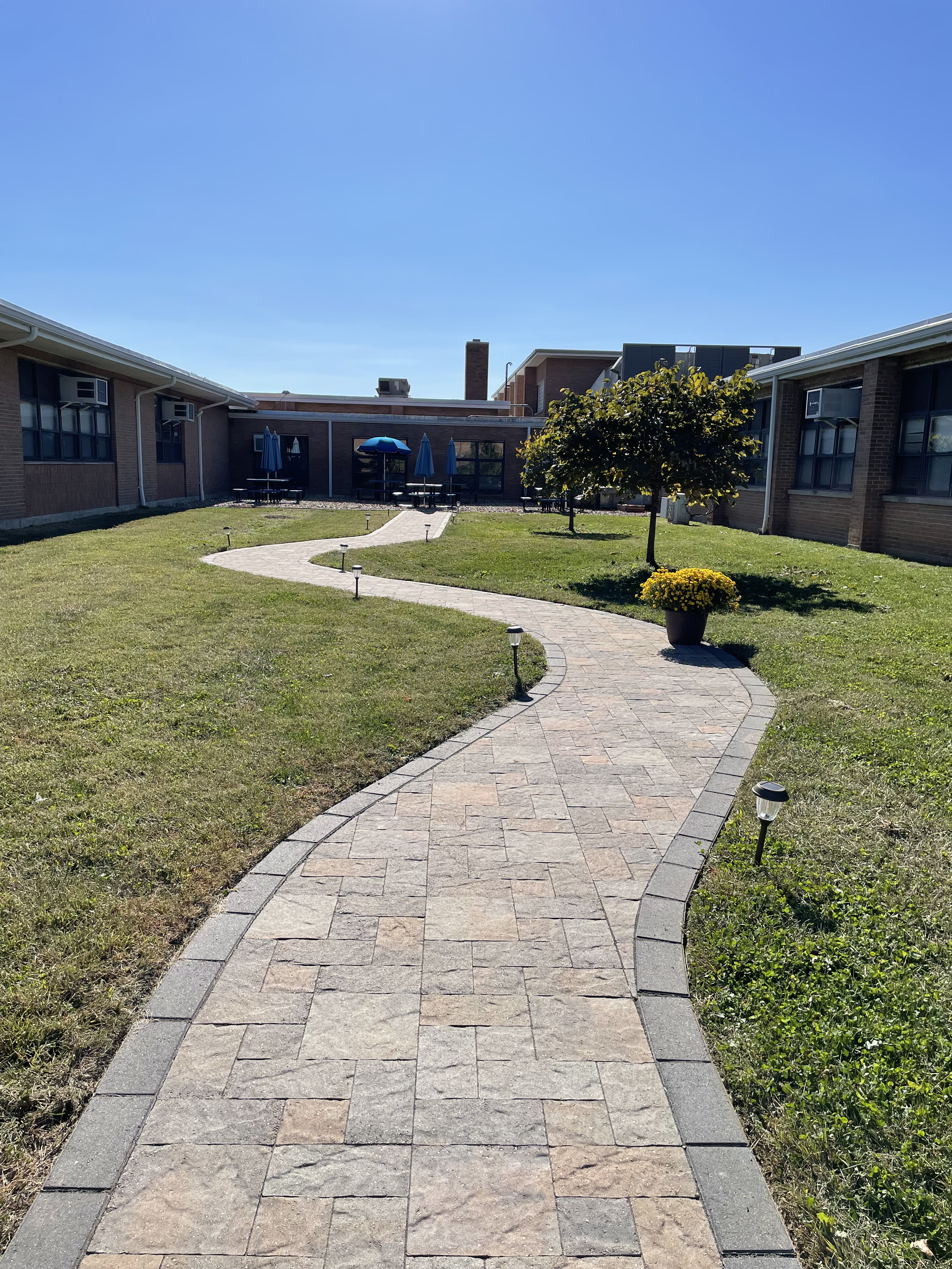 Courtyard view 2